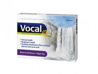 VOCAL BLACKCURRANT IMEMISTABLETID N24 VOCAL BLACKCURRANT IMEMISTABLETID N24