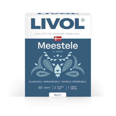 LIVOL MULTI MEESTELE N60