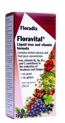 SALUS FLORADIX FLORAVITAL RAUD RDI-MAHLAKONTSENTRAAT 250ML